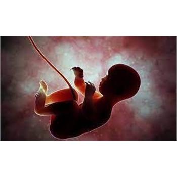 چه عواملی باعث "سقط جنین" می‌شود؟