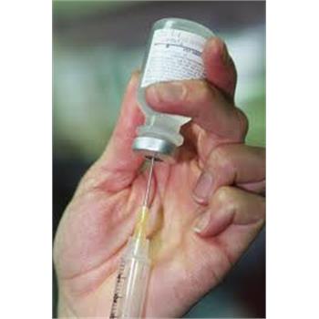 حجاج تلقیح واکسن را حداقل دو هفته قبل از اعزام انجام دهند
