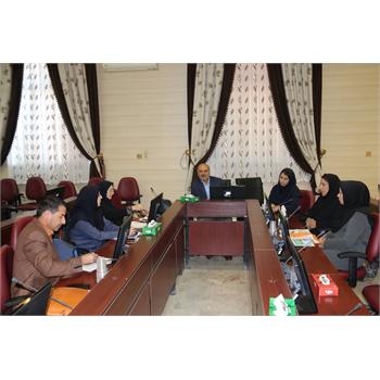 کمیته منطقه ای بازنگری برنامه مدارس مروج سلامت دانشگاه های غرب کشور در کرمانشاه برگزار شد
