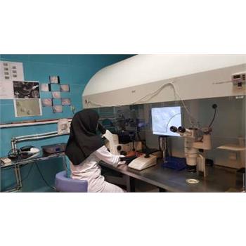 بیمارستان معتضدی کرمانشاه، مرکزی پیشرو در درمان ناباروری در غرب کشور
