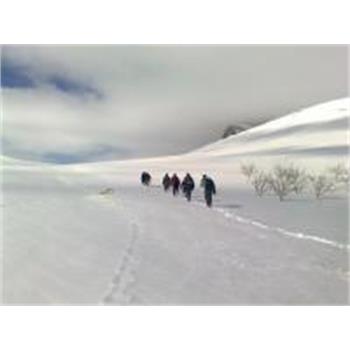 برف و بوران کوهستان هم مانع کوهنوردی  دانشگاهیان نشد