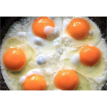 تخم مرغ جزو غذاهای کامل است