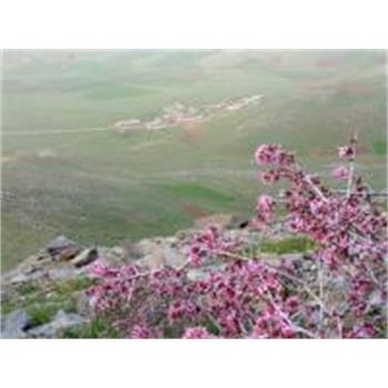 فتح قله های نماز گاه و سه سوک  کوه امروله توسط گروه کوهنوردی دانشگاه علوم پزشکی کرمانشاه