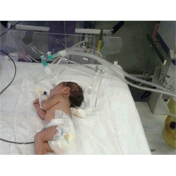 بیماران مجهول الهویه در بیمارستان دکتر محمد کرمانشاهی تعیین تکلیف می شوند