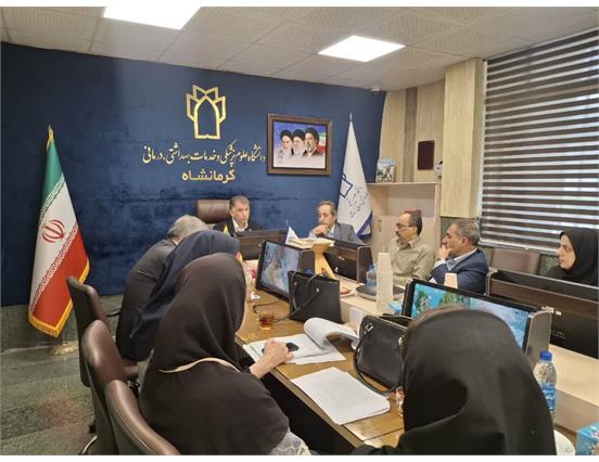 تصویب تداخلات کلیدی در نشست تخصصی ارتقا سلامت مادران