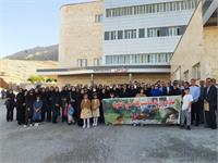 پیاده روی سلامت