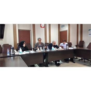برگزاری نشست معاونین بهداشتی کلان منطقه سه آمایشی