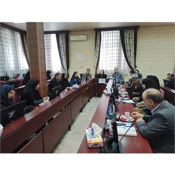 برگزاری اولین کمیته استانی مداخلات روانی اجتماعی در بحران/ تأکید بر هم‌افزایی دستگاه‌ها برای ارائه خدمات سلامت روان در شرایط جنگ