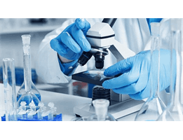 انگیزه درونی، پشتکار، اعتمادبه‌نفس همراه با تواضع علمی و پذیرش نقد و شکست، پایه‌های اصلی مسیر پژوهش هستن