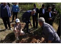 پیاده روی سلامت