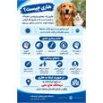 هاری؛ خطری جدی که با اقدام به‌موقع می‌توان از آن پیشگیری کرد