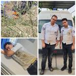 روایت ایثار در جنگ ۱۲ روزه