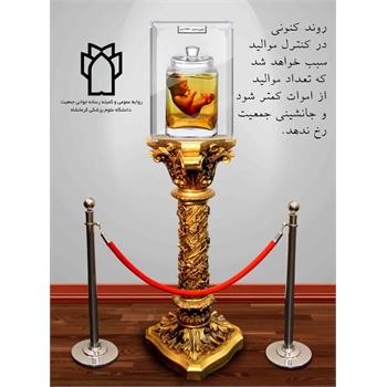 موالید,جوانی جمعیت