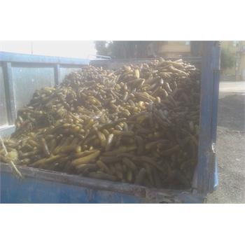 جمع‌آوری حدود 4 تن خیارشور و  2/5 تن مرغ غیربهداشتی در کرمانشاه