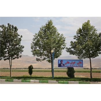راننده تاکسی و وزیر مردمی/ یادداشتی از مهدی محمدی
