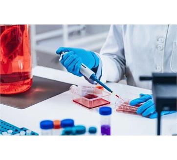 ایران، قطب سلول درمانی خاورمیانه و شرق مدیترانه/ طلوع امید برای درمان بیماران لاعلاج