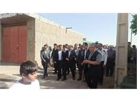 روستای سالم