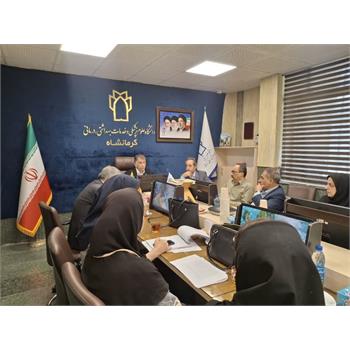 تصویب تداخلات کلیدی در نشست تخصصی ارتقا سلامت مادران