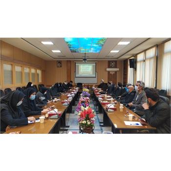 برگزاری جلسه هم اندیشی  اساتید