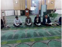 جشن میلاد امام حسن مجتبی (ع)