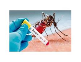 No Reported Cases of Dengue Fever or Infected Aedes Mosquitoes in Kermanshah