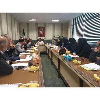 اولین جلسه کارگروه تخصصی سلامت و امنیت غذایی استان در سال 95 برگزار شد