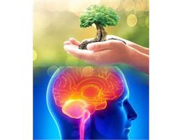 اصلاح سبک زندگی، توصیه‌ جدی طب ایرانی به بیماران ام اس