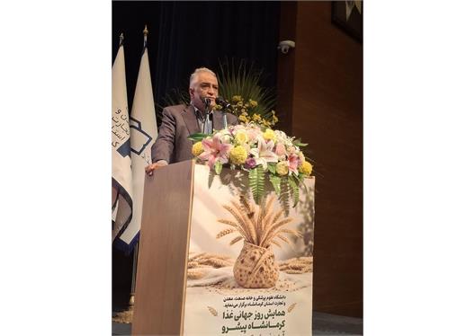 نان کامل؛ گامی مؤثر در پیشگیری از بیماری‌های غیرواگیر و تحقق عدالت در سلامت