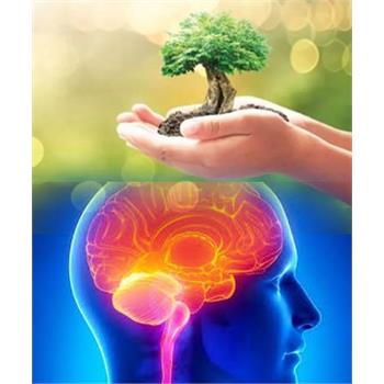 اصلاح سبک زندگی، توصیه‌ جدی طب ایرانی به بیماران ام اس