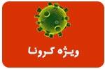کلید ویژه کرونا1