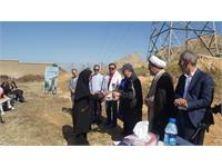 پیاده روی سلامت