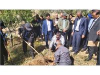 پیاده روی سلامت