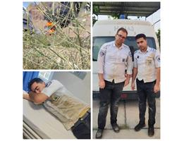 روایت ایثار در جنگ ۱۲ روزه