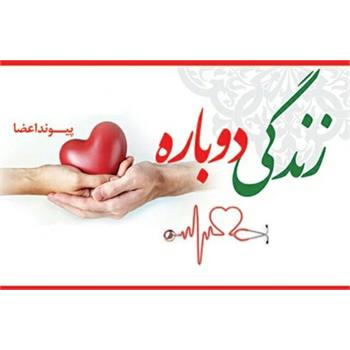 از سال آینده شرایط پیوند قلب در استان فراهم می شود