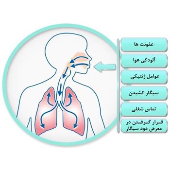 برای پیشگیری از بیماری مزمن انسدادی ریه خیلی هم دیر نشده