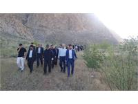 پیاده روی سلامت