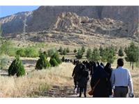 پیاده روی سلامت