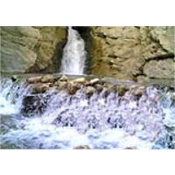 دکتر نوری زاد از شبکه صحنه بازدید کرد.