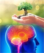 اصلاح سبک زندگی، توصیه‌ جدی طب ایرانی به بیماران ام اس