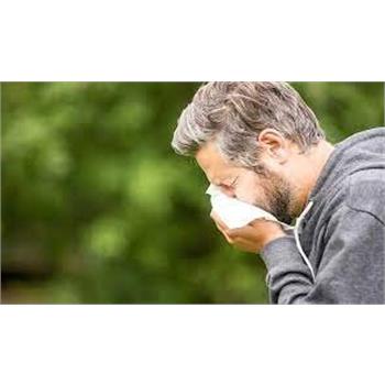 آلرژی یا حساسیت ؛ کابوس برخی افراد در فصل بهار