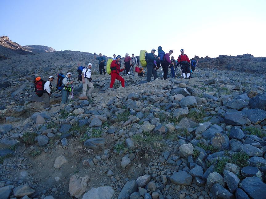 ararat 7