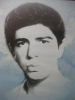 شهید سید هادی الوانی