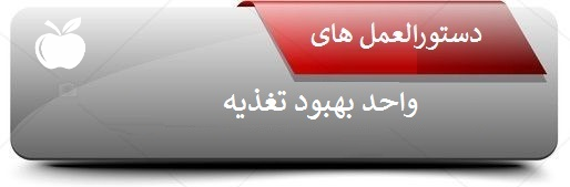 دستورالعمل ها 10