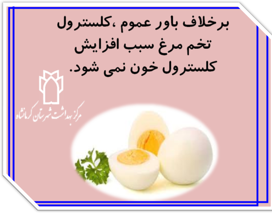 روز جهانی تخک مرغ