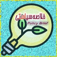 خلاصه سیاستی