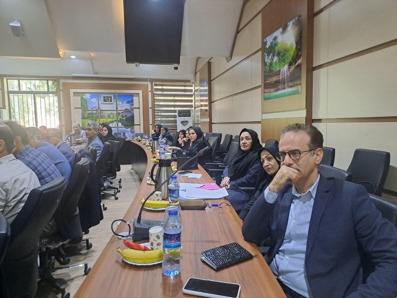 جوانی جمعیت