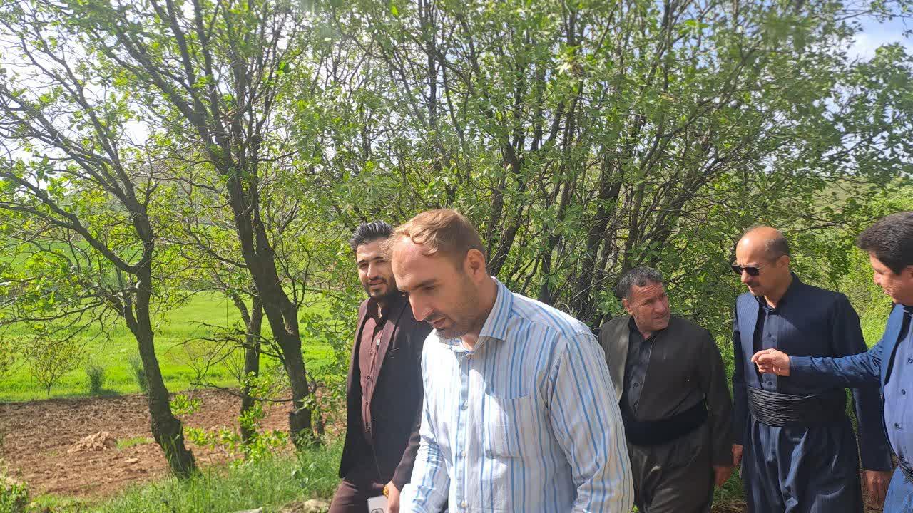 بیله ای 12
