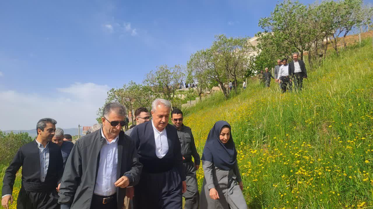بیله ای 11