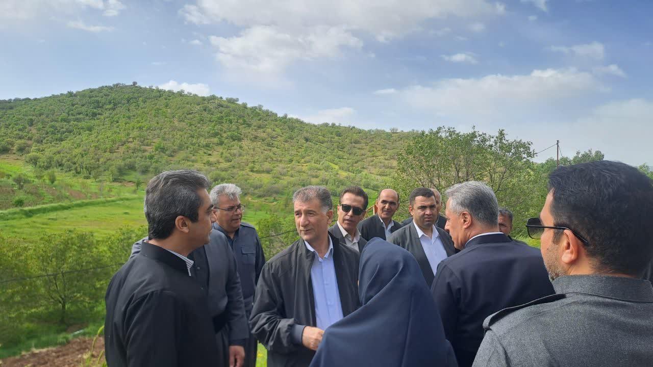 بیله ای 10
