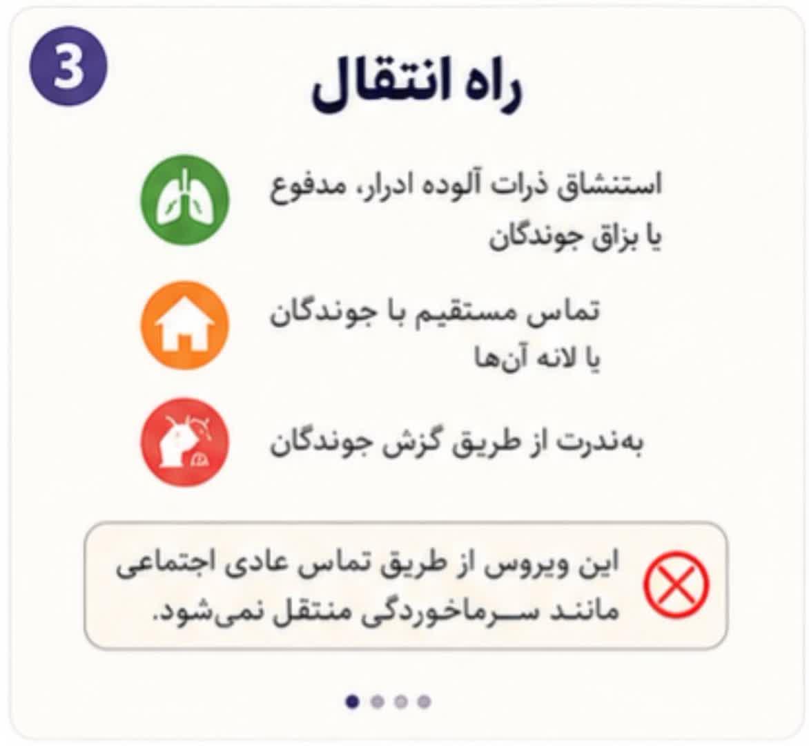هانتا ویروس1 3